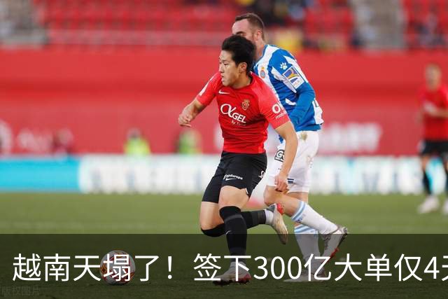 越南天塌了！签下300亿大单仅4天，中国新出一项公告，项目或流产